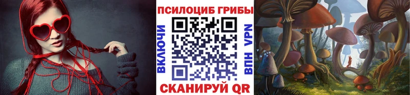 купить наркоту  Лаишево  Галлюциногенные грибы Magic Shrooms 